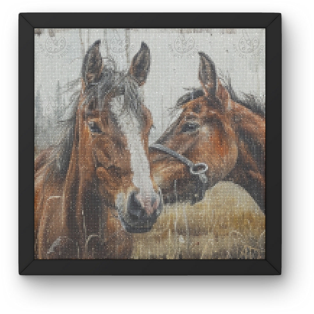 Artdiystudio Whispers Between Friends Diy Diamond Painting Kit Capture The Bond Of Horse 3