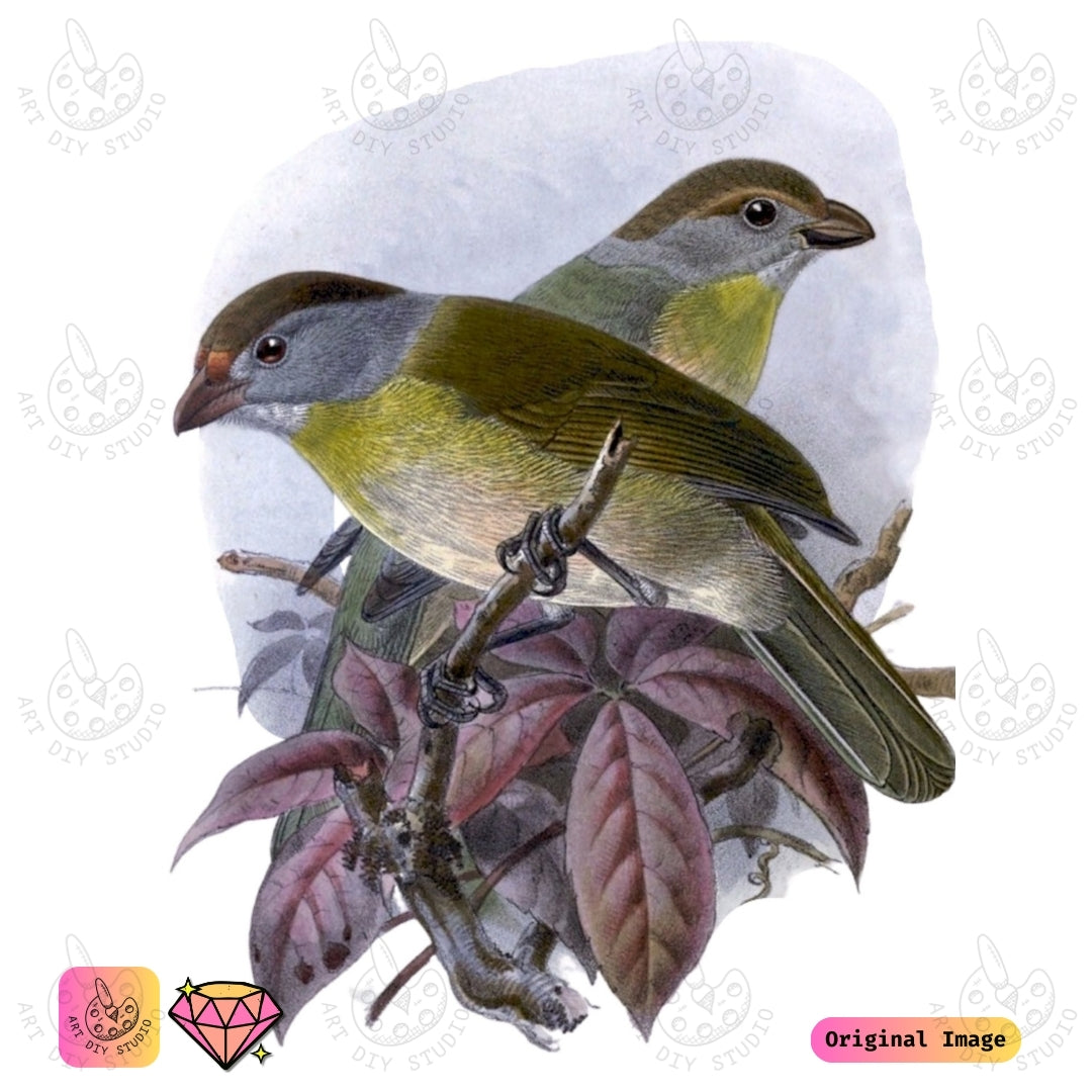 Artdiystudio Olive Toned Birds On Branch Diy Diamond Painting Kit A Tribute To Natures Tranquility 6